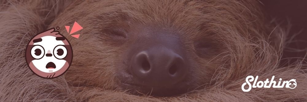 slothino blog sloths adapting to change post